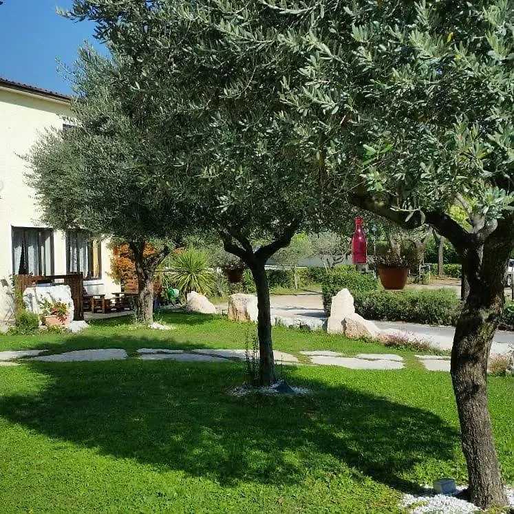 Alla Favorita Bassano del Grappa Italien